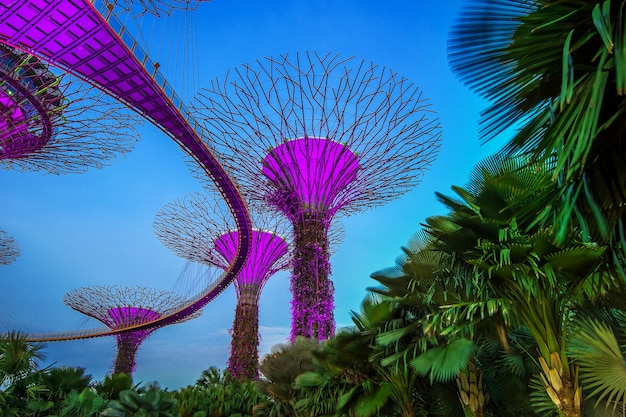 Foto gratuita paisaje urbano de singapur por la noche en singapur.