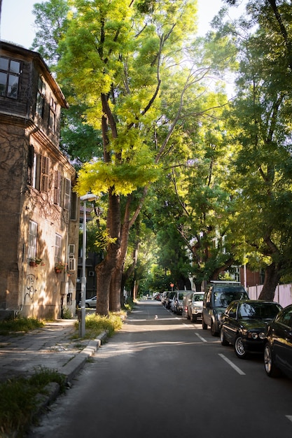 Paisaje urbano soleado