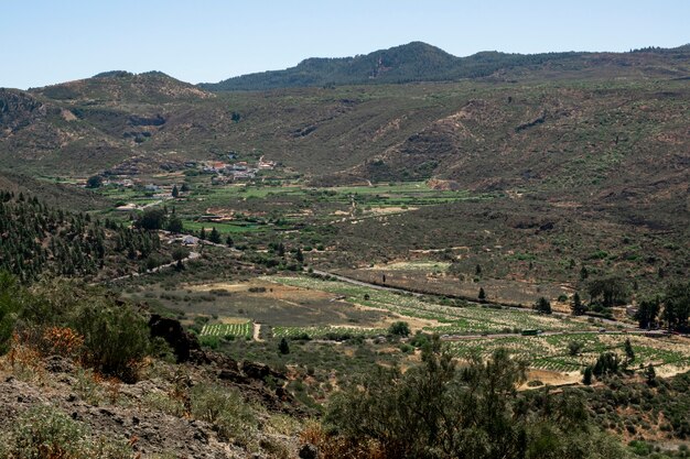 Paisaje de valle verde con cielo despejado