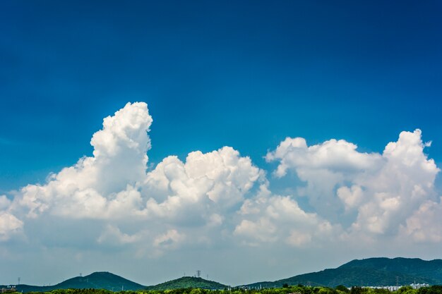 paisaje de verano con lago en día soleado