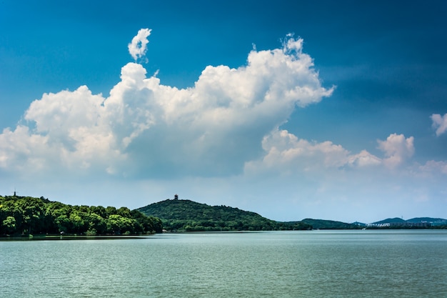 paisaje de verano con lago en día soleado