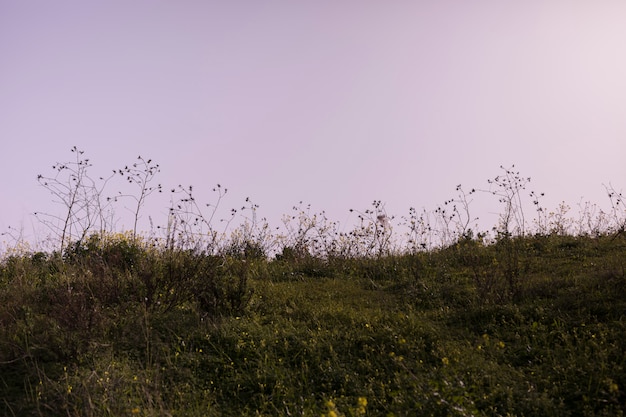 Paisaje verde contra cielo dramático