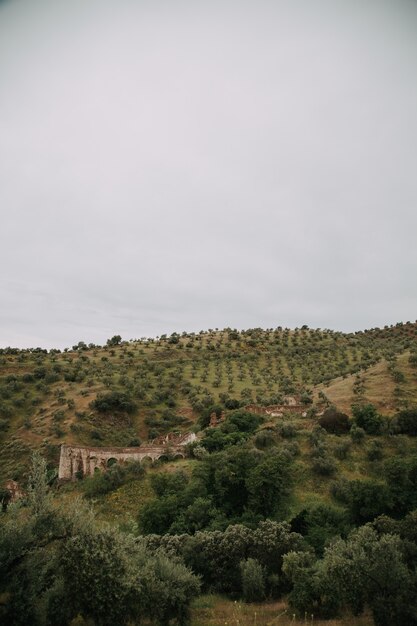 Paisaje verde con muchos árboles verdes y montañas bajo las nubes de tormenta