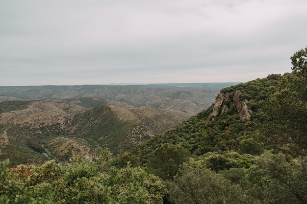 Paisaje verde con muchos árboles verdes y montañas bajo las nubes de tormenta