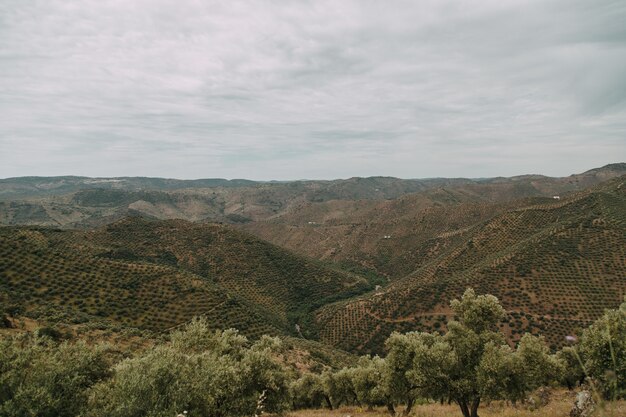 Paisaje verde con muchos árboles verdes y montañas bajo las nubes de tormenta