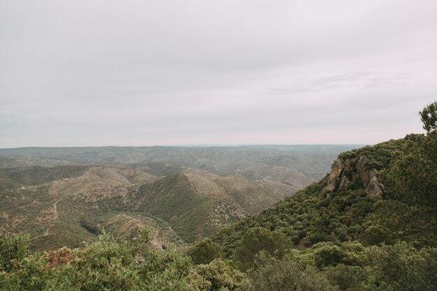 Paisaje verde con muchos árboles verdes y montañas bajo las nubes de tormenta