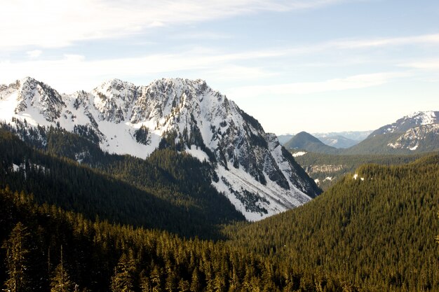 paisaje verde rodeado de montañas nevadas