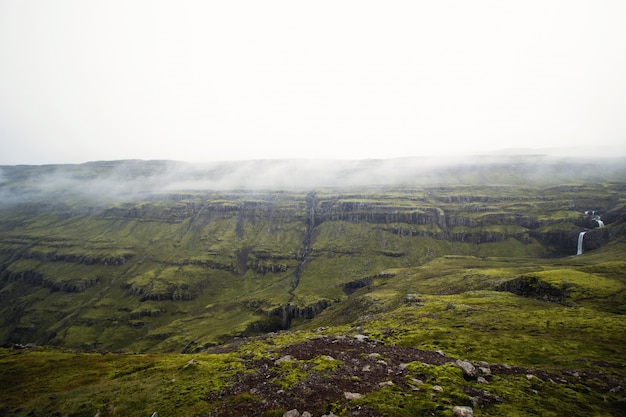 Paisaje verde