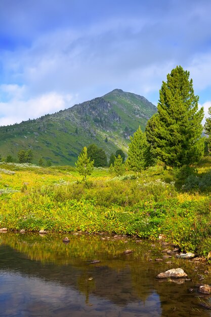 Paisaje vertical con el lago de las montañas