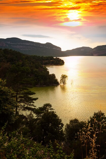 paisaje vertical con lago de montañas