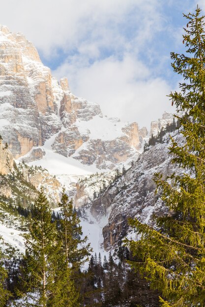 Paisaje vertical de montañas cubiertas de nieve