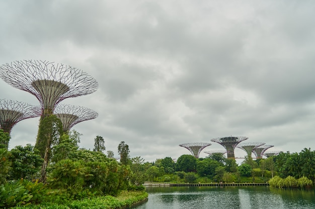 paisaje vivo la vida fondos de Singapur