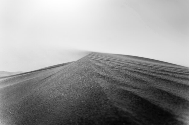 Paisajes dramáticos en blanco y negro con desierto