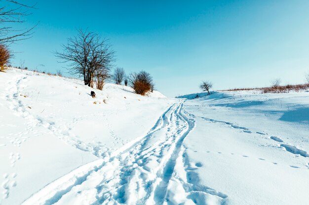 Paisajes invernales con forma modificada de esquí de fondo