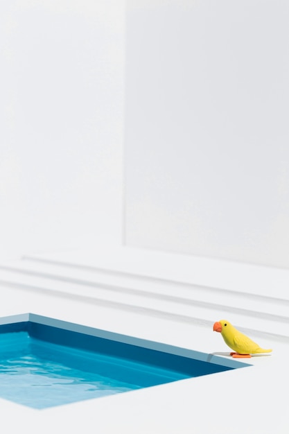 Foto gratuita pájaro amarillo junto a la piscina