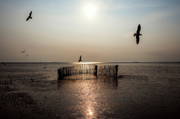 Foto gratuita pájaros volando sobre un lago