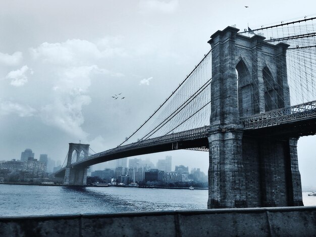 Pájaros volando sobre el puente de Brooklyn en la ciudad de Nueva York, EE.