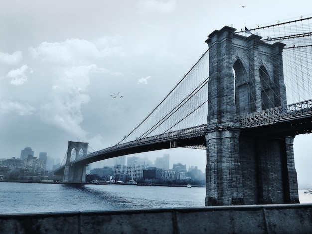 Pájaros volando sobre el puente de Brooklyn en la ciudad de Nueva York, EE.