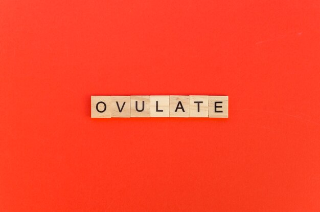 Palabra ovulada con letras scrabble sobre fondo rojo