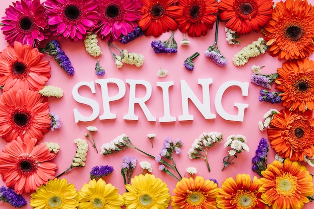 Palabra de primavera en un arreglo de flores brillantes