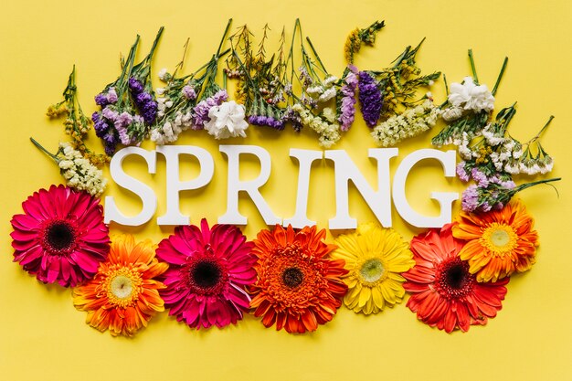 Palabra de primavera y arreglo de flores de colores