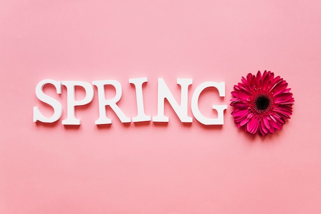 Palabra de primavera y flor morada