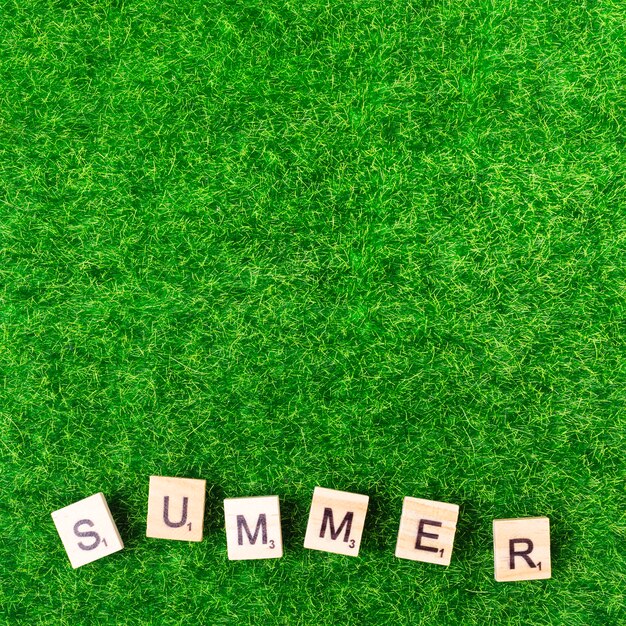 Palabra de verano del juego de cartas sobre hierba