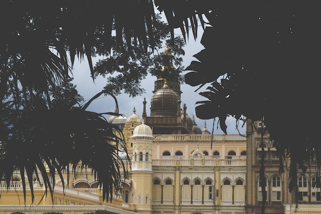 Foto gratuita palacio escondido por los árboles