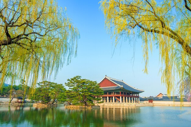 Palacio Gyeongbokgung en primavera, Corea.