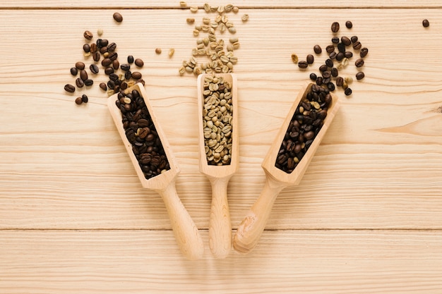 Palas de madera con granos de café.