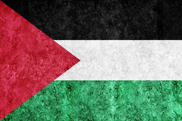 Palestina Bandera metálica, bandera texturizada, bandera grunge