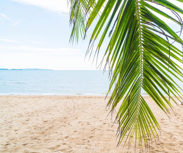 Palm y playa tropical en Pattaya en Tailandia