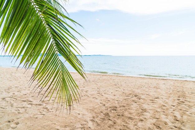 Palm y playa tropical en Pattaya en Tailandia