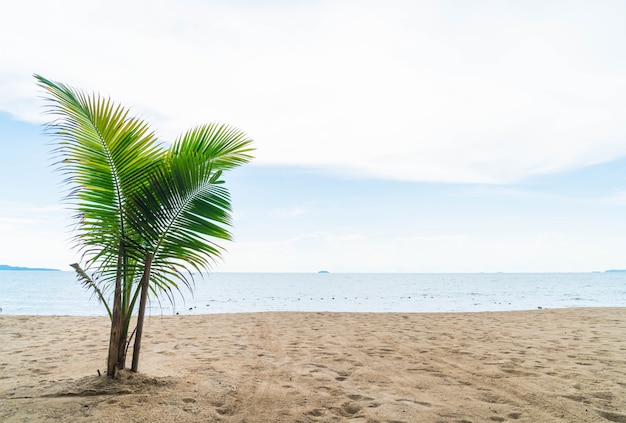 Foto gratuita palm y playa tropical en pattaya en tailandia