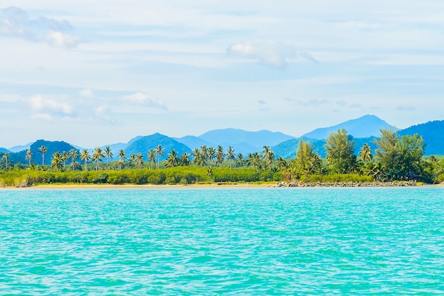 palma de Andaman virgen paisaje marino del agua