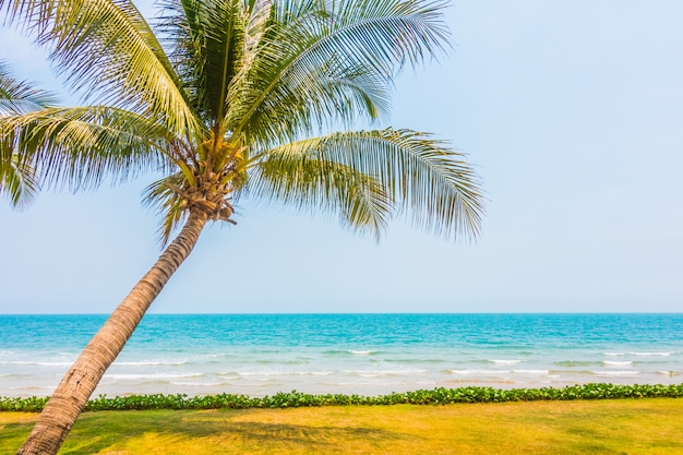 Palmera de coco en la playa tropical y el mar