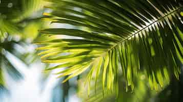 Foto gratuita palmera tropical con hojas vibrantes y de gran tamaño que se balancean en la suave brisa de la selva