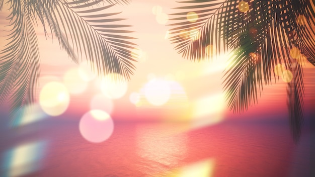 Palmeras con efecto bokeh