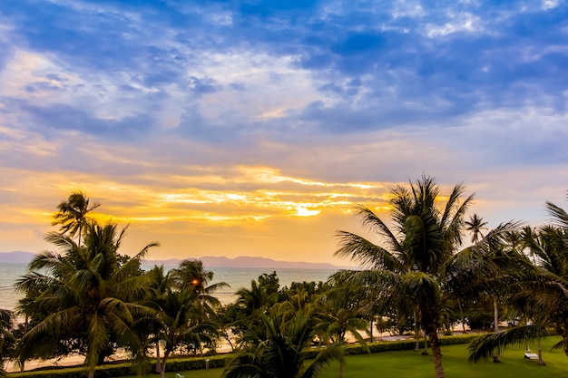 Foto gratuita palmeras con nubes