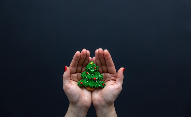 Foto gratuita pan de jengibre de navidad en manos femeninas vista superior