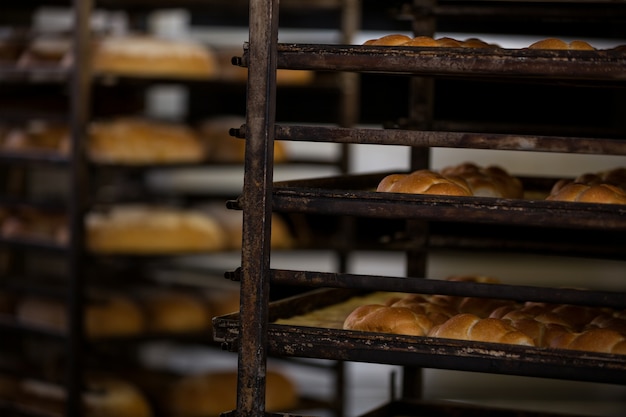 panes horneados y bollos conservados en estantería