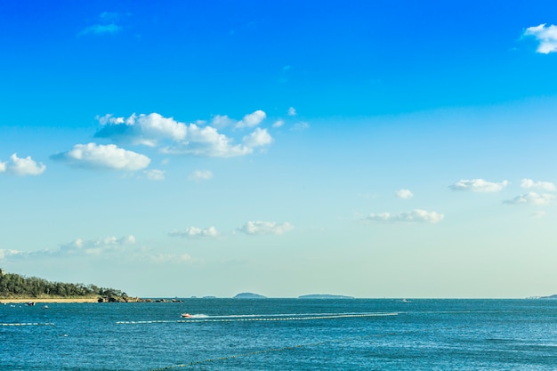 Panorama del horizonte los árboles magníficos el sol del mar