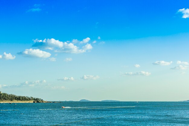 Panorama del horizonte los árboles magníficos el sol del mar