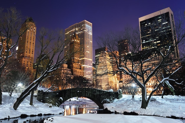 Panorama de Manhattan Central Park de Nueva York al atardecer