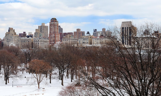 Panorama de Manhattan Central Park de Nueva York en invierno