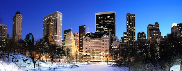 Panorama de Manhattan Central Park de Nueva York en invierno