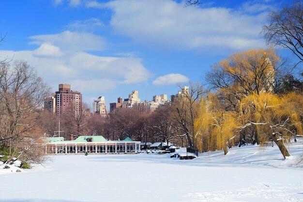 Panorama de Manhattan Central Park de Nueva York