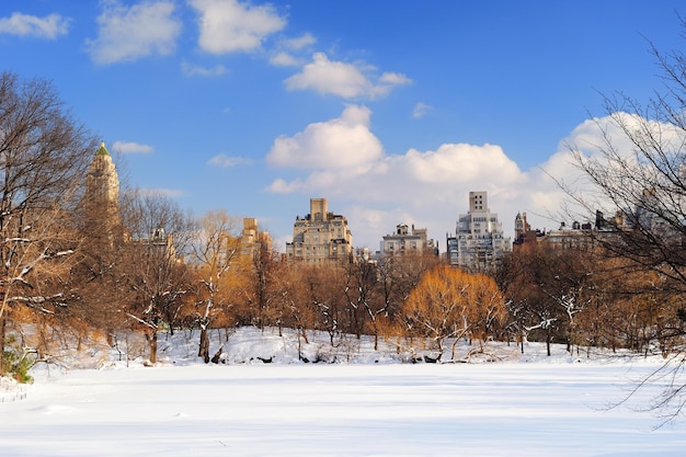 Foto gratuita panorama de manhattan central park de nueva york