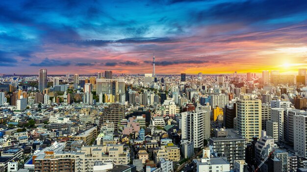 Panorama del paisaje urbano de Tokio al atardecer en Japón.