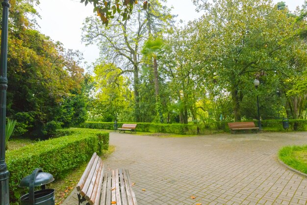 Panorama del parque de la ciudad de un hermoso parque